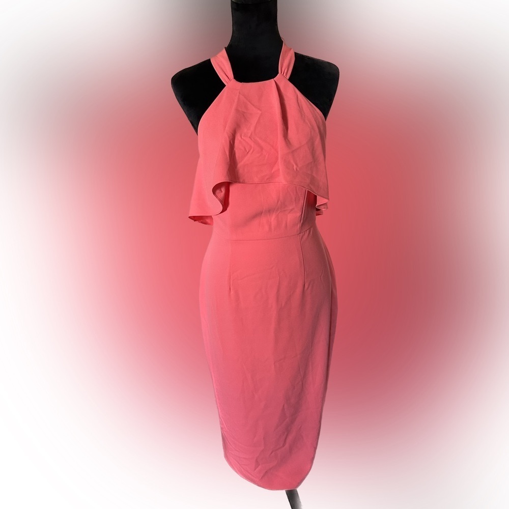 NWT Katherine Kelly Rue dress poppies peony